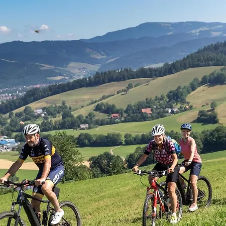 Hotel Goldener Adler - & 3*