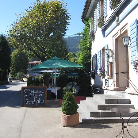 Otel Goldener Adler - &