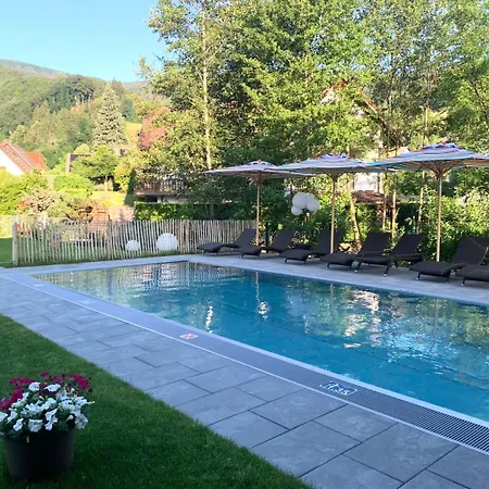 Hotel Goldener Adler - Hotel&appartements