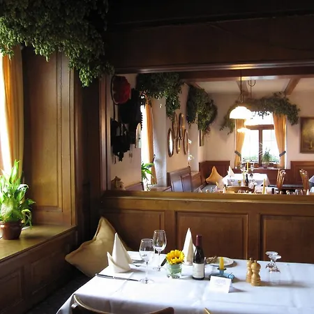 Goldener Adler - & Hotel 3*