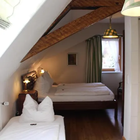 Goldener Adler Oberried - & Hotel 3*